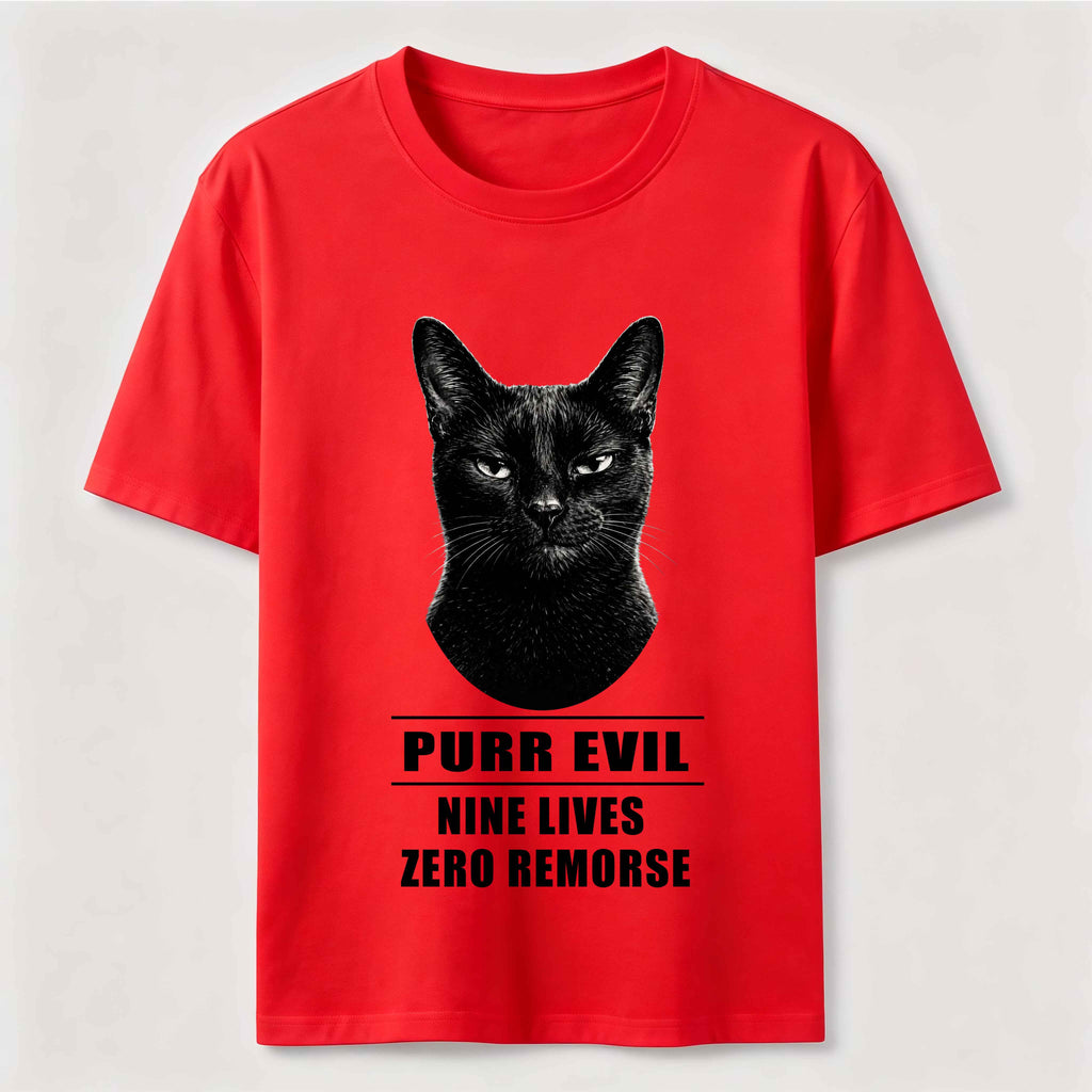 The Villain Era of My Cat Dark Cat Classic T-Shirt