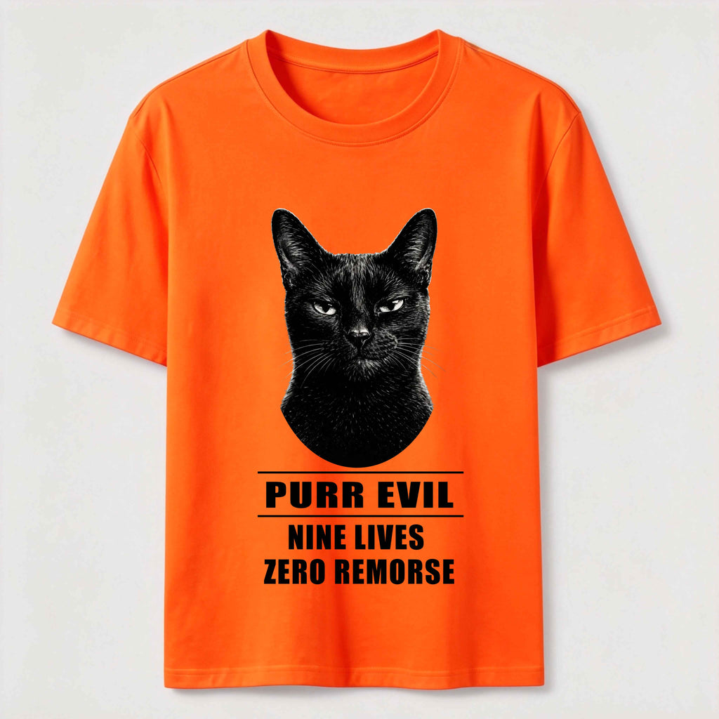 The Villain Era of My Cat Dark Cat Classic T-Shirt
