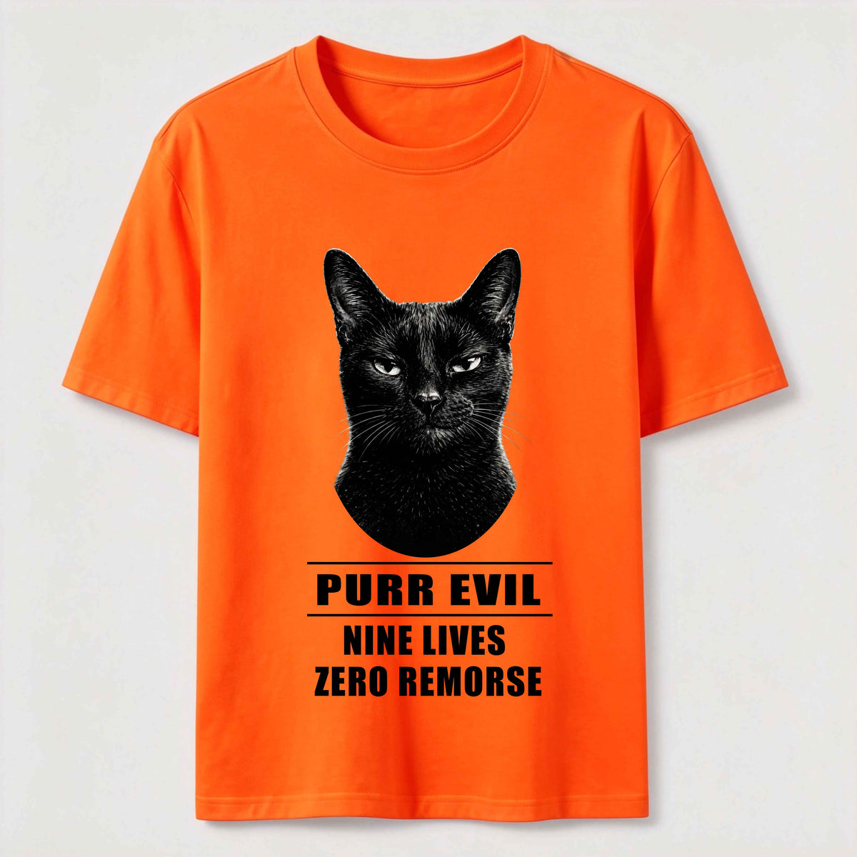 The Villain Era of My Cat Dark Cat Classic T-Shirt