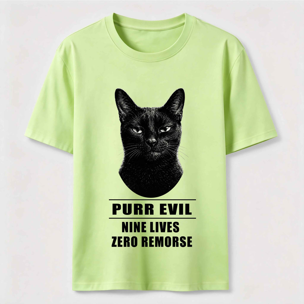 The Villain Era of My Cat Dark Cat Classic T-Shirt