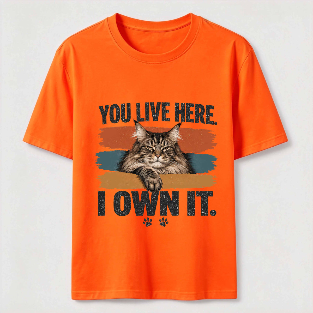 You Live Here I Own It Cat Classic T-Shirt