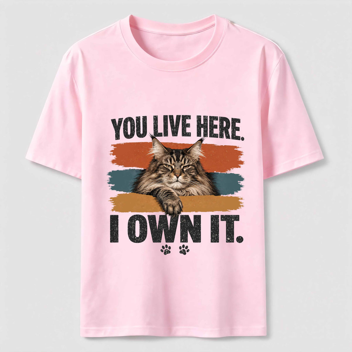 You Live Here I Own It Cat Classic T-Shirt
