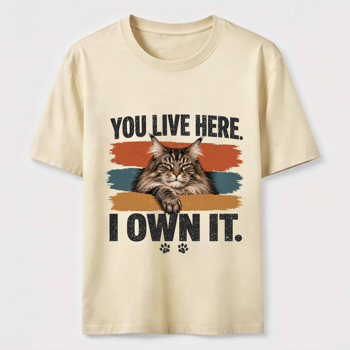 You Live Here I Own It Cat Classic T-Shirt