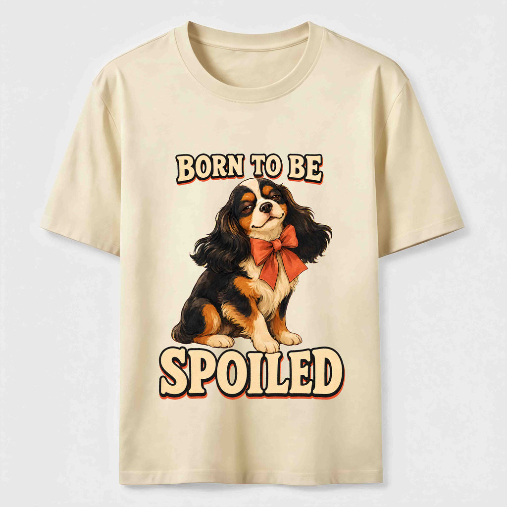 Pampered Cavalier Spaniel Classic T-Shirt