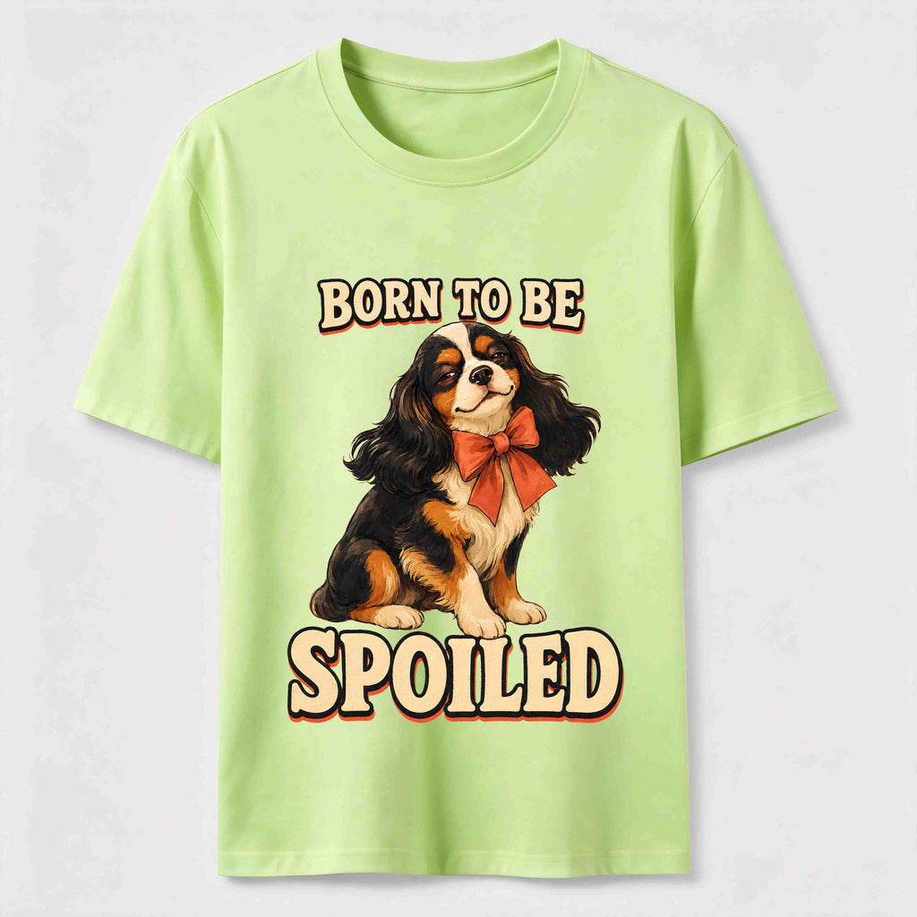Pampered Cavalier Spaniel Classic T-Shirt