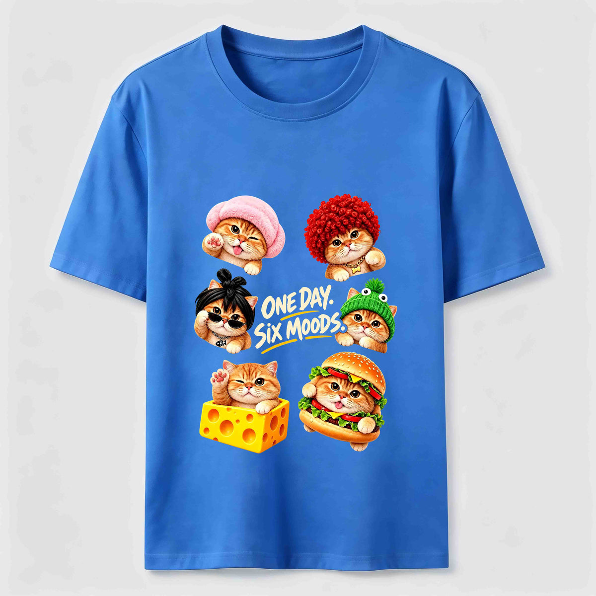 One Day Six Moods Cat Classic T-Shirt