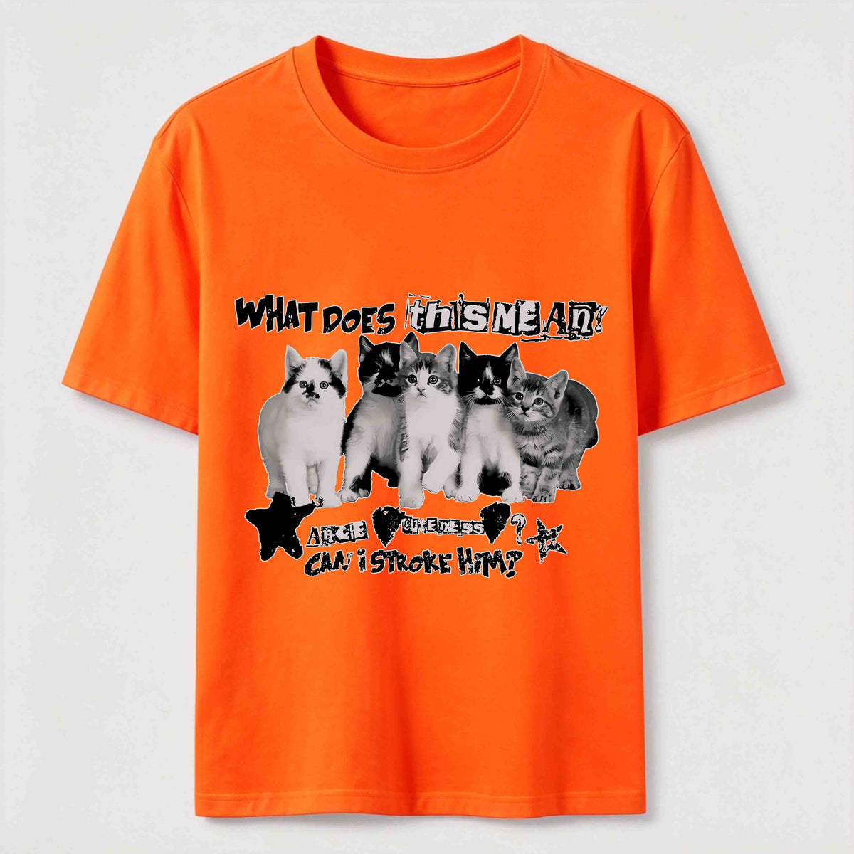 Group Photo Of The Cats Classic T-Shirt