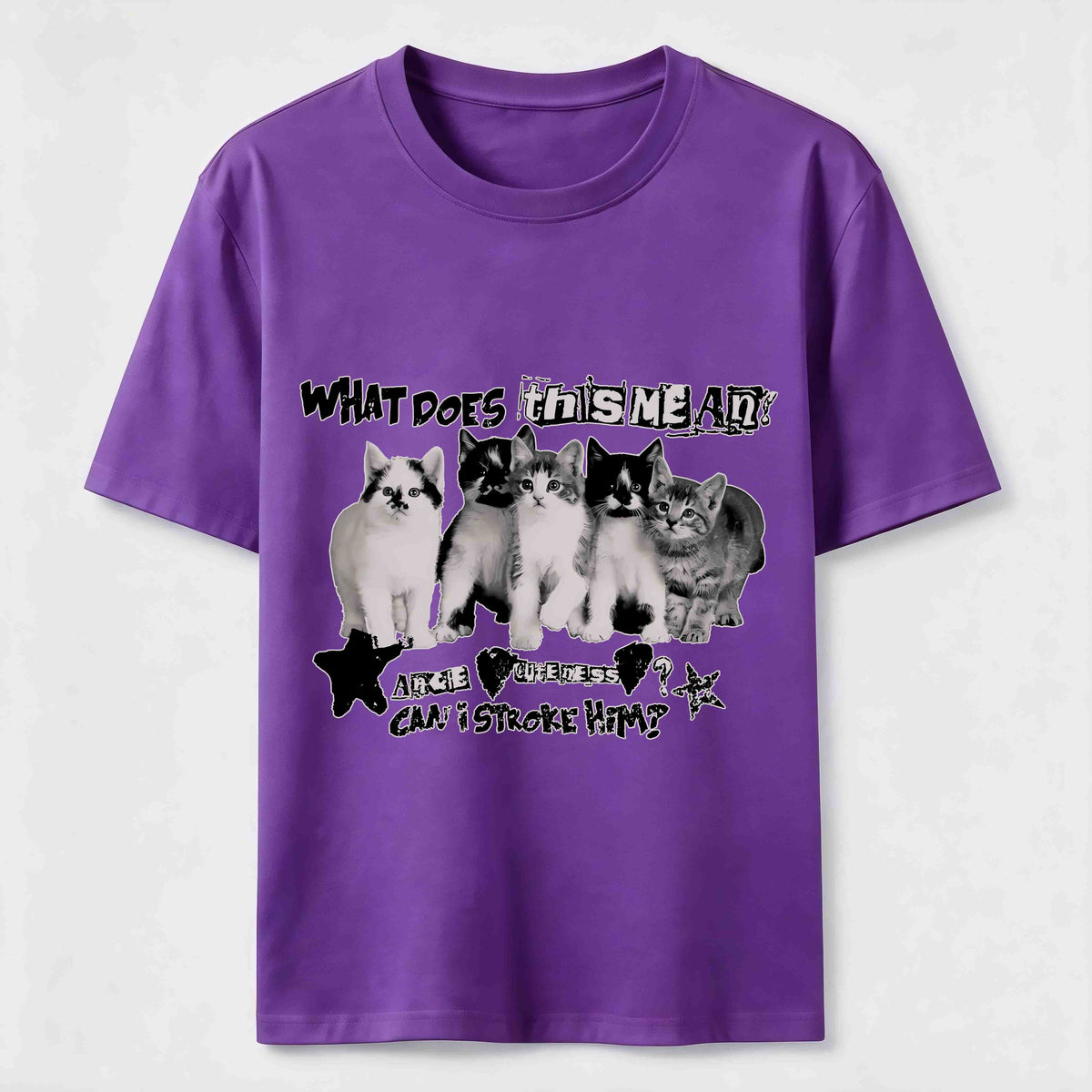Group Photo Of The Cats Classic T-Shirt