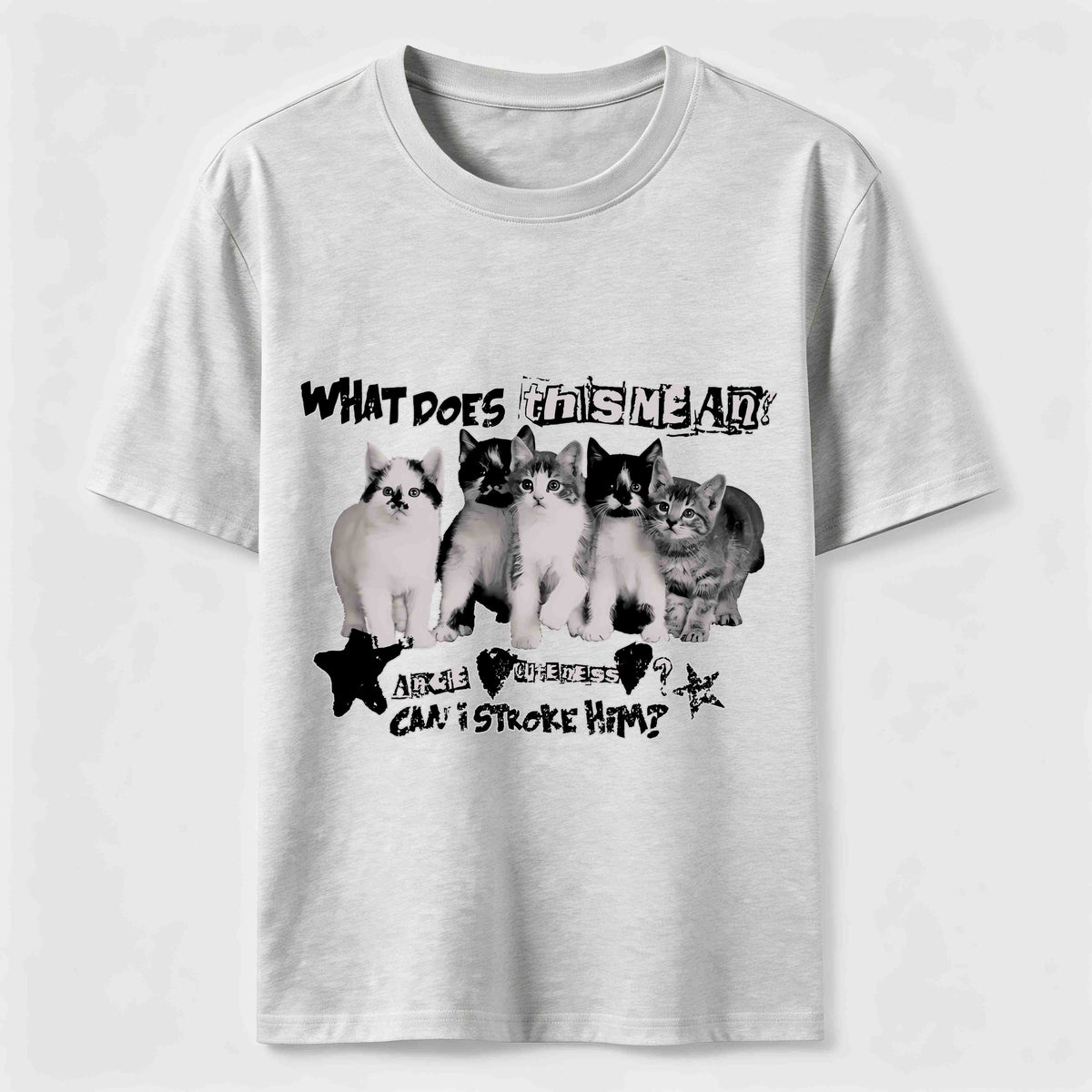 Group Photo Of The Cats Classic T-Shirt
