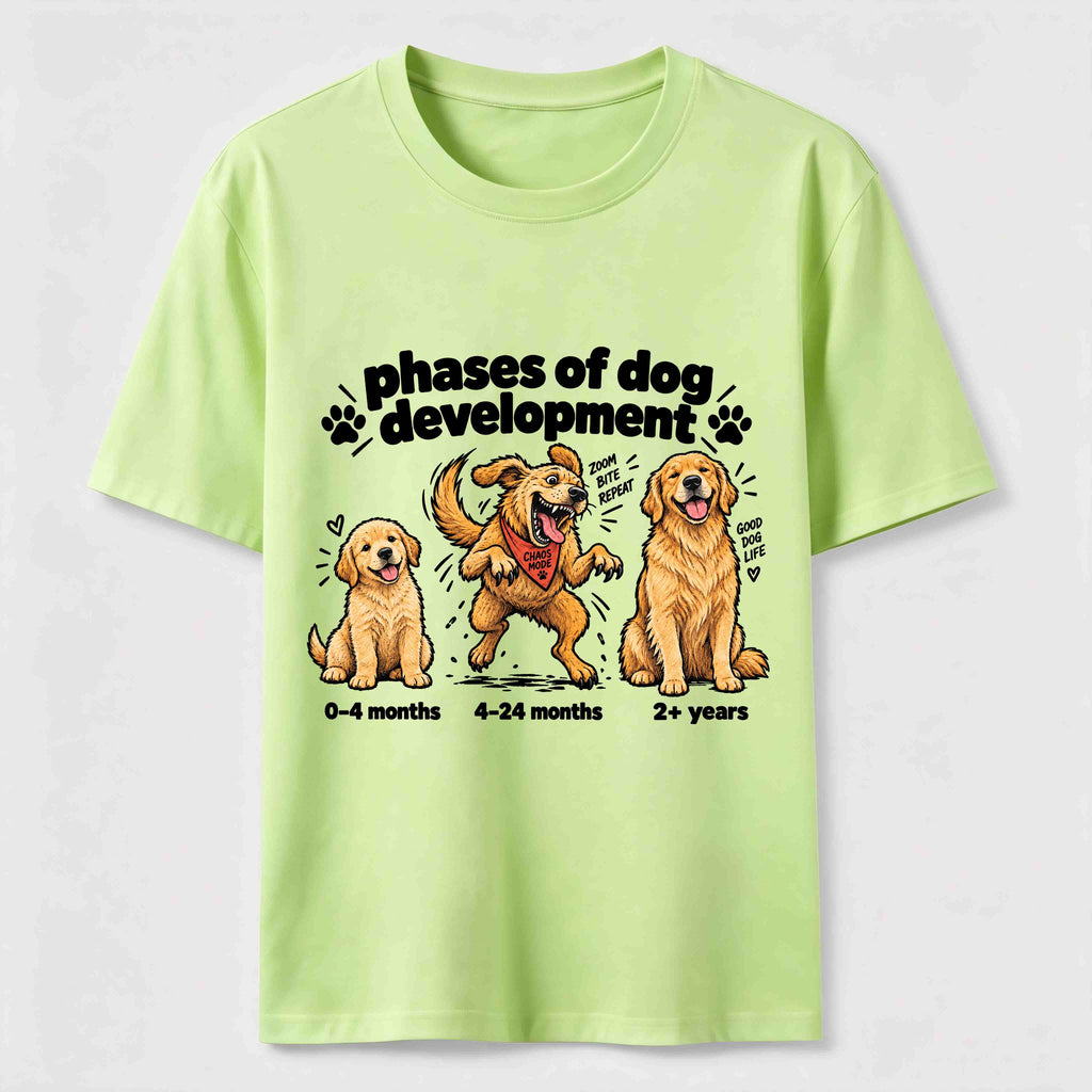 Golden Retriever Chaos Phase Classic T-Shirt