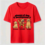 Golden Retriever Chaos Phase Classic T-Shirt