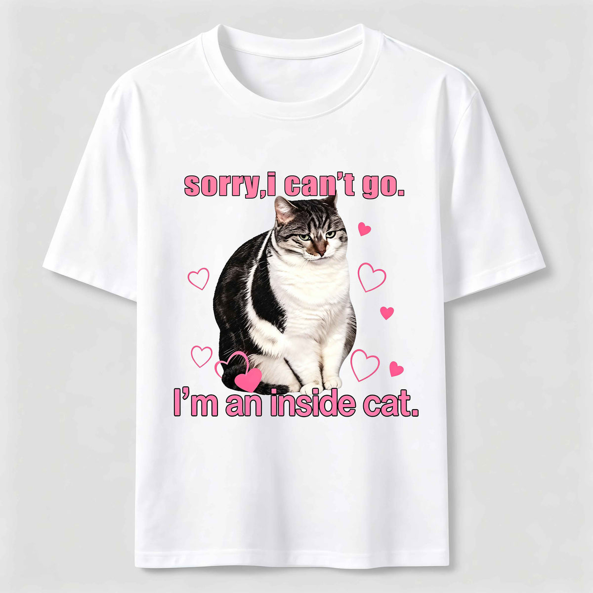 A cat that doesn't like going out Classic T-Shirt