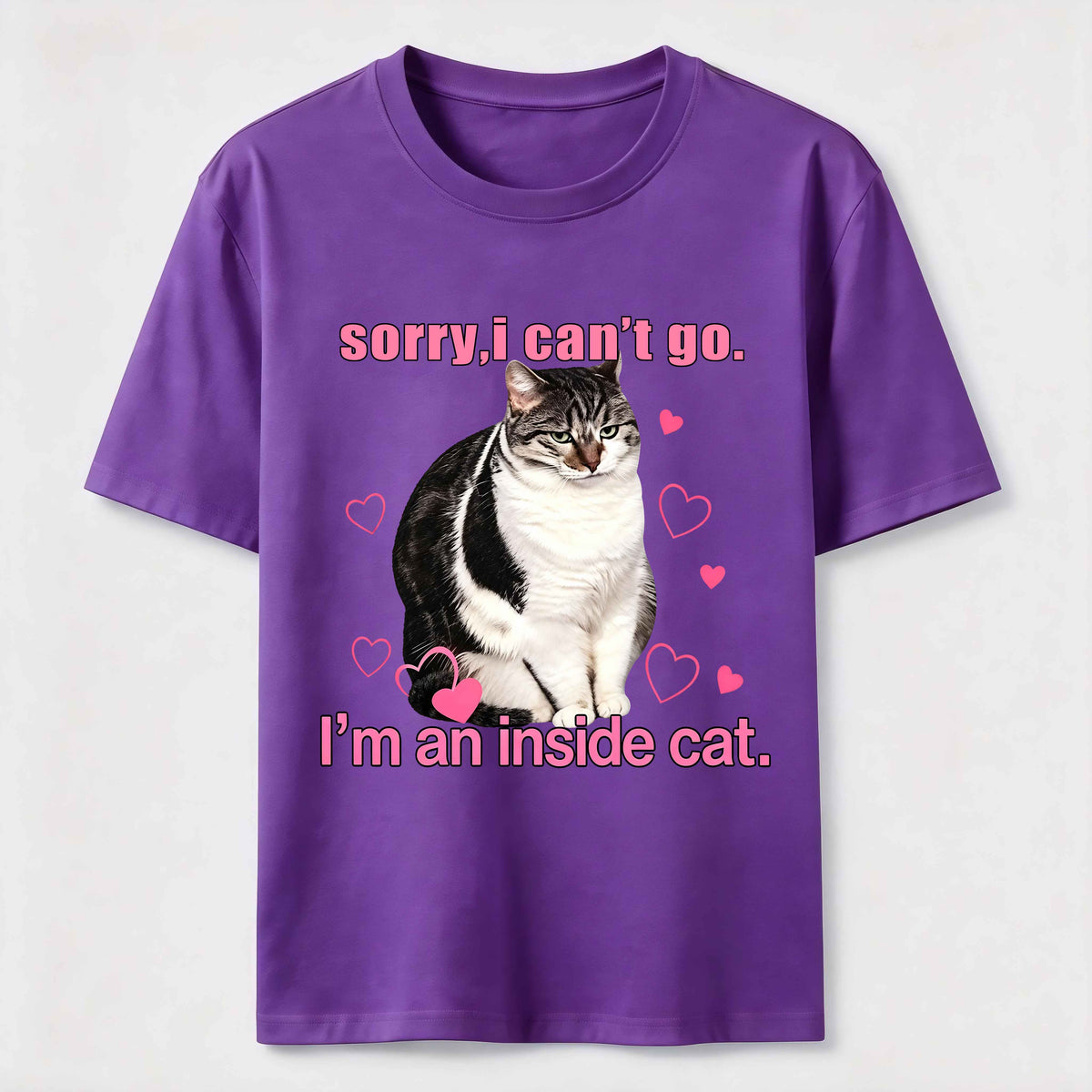 A cat that doesn't like going out Classic T-Shirt