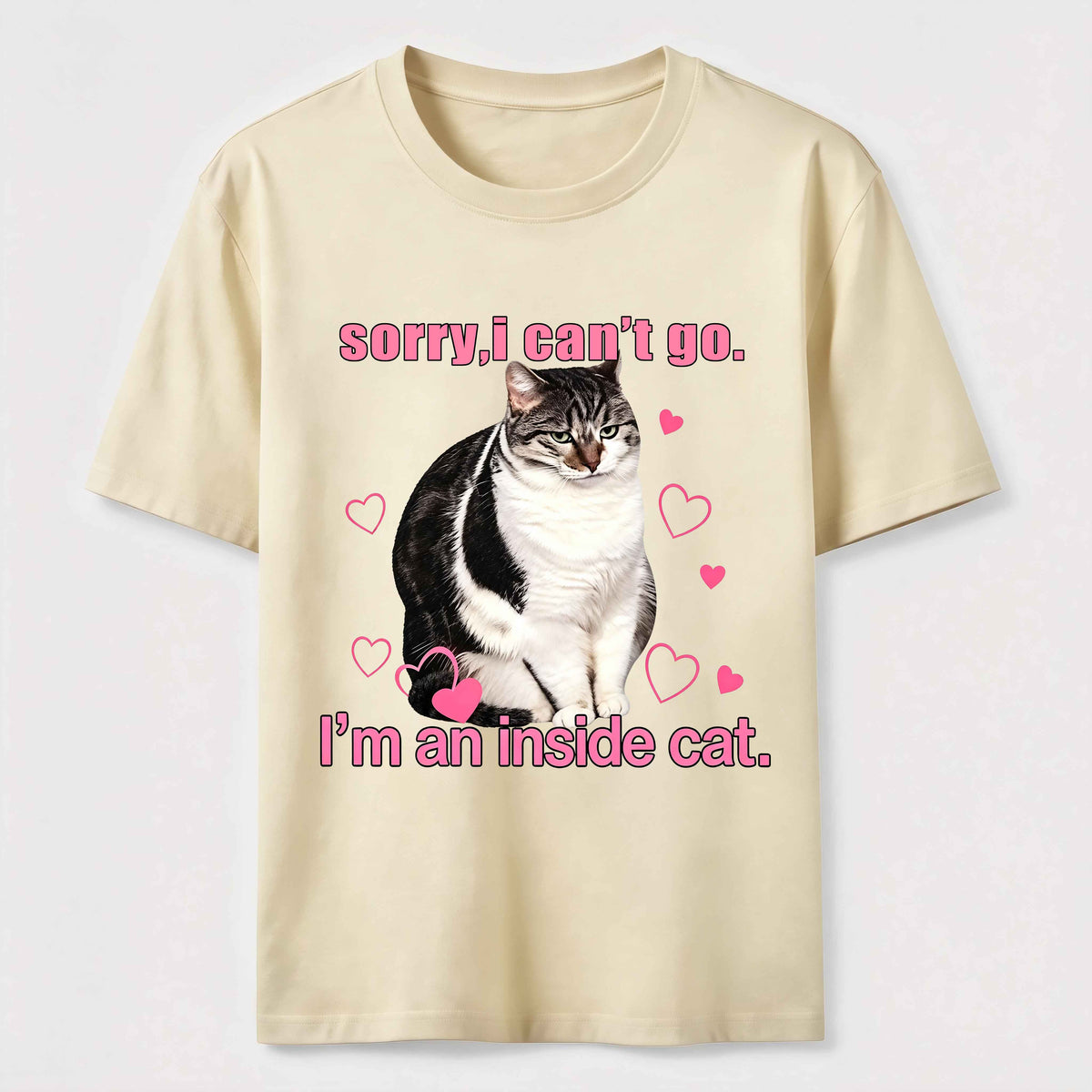 A cat that doesn't like going out Classic T-Shirt