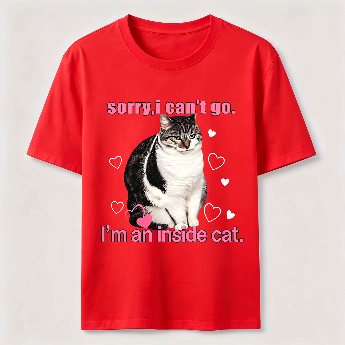 A cat that doesn't like going out Classic T-Shirt