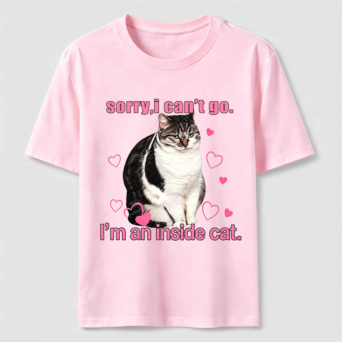 A cat that doesn't like going out Classic T-Shirt