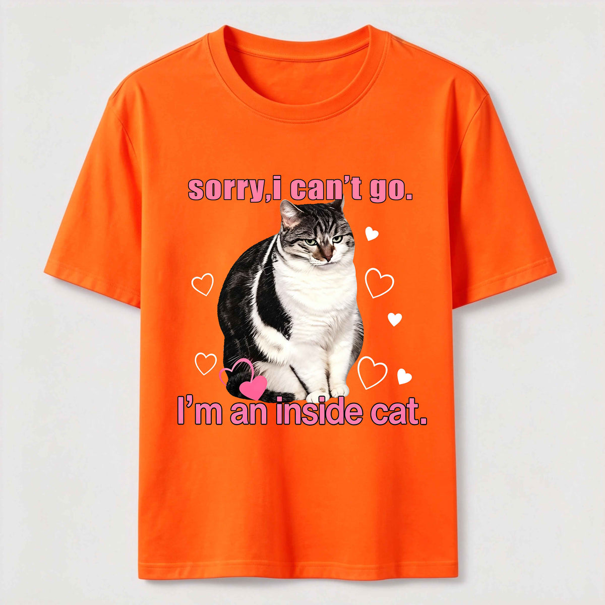 A cat that doesn't like going out Classic T-Shirt