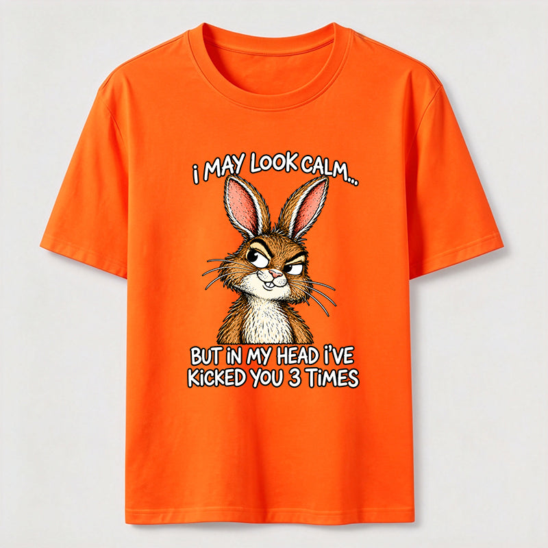 Kicked You 3 Times Rabbit Classic T-Shirt