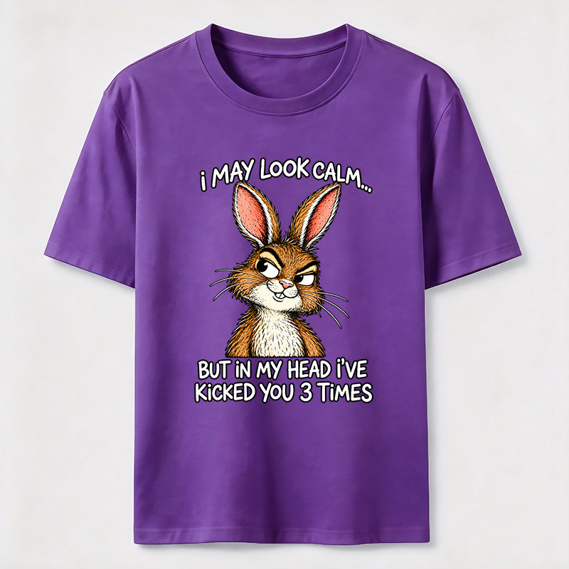 Kicked You 3 Times Rabbit Classic T-Shirt