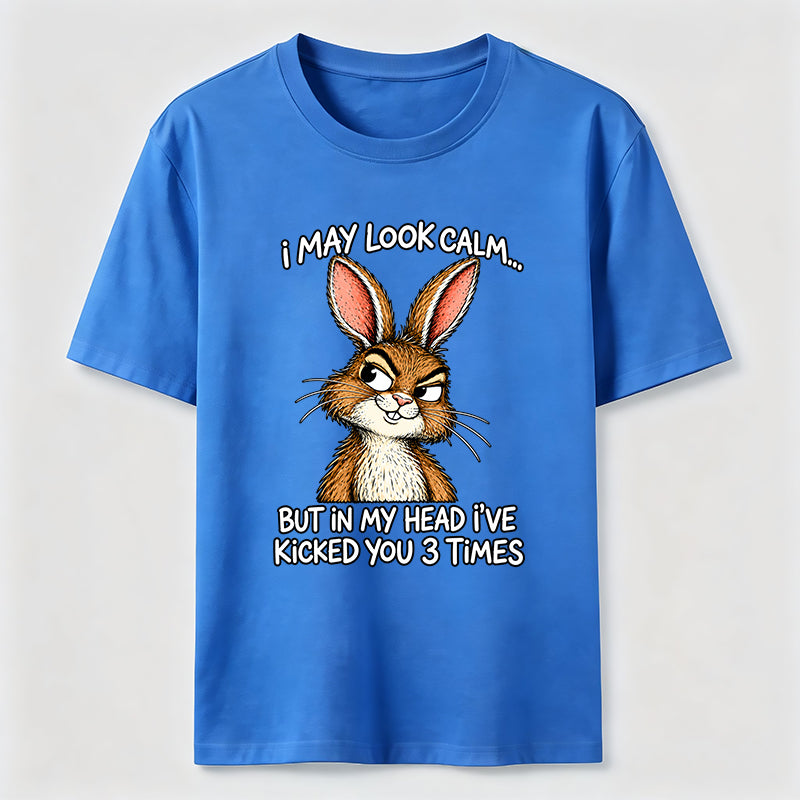 Kicked You 3 Times Rabbit Classic T-Shirt