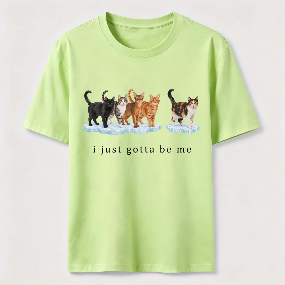 I Just Gotta Be Me Cats Classic T-Shirt
