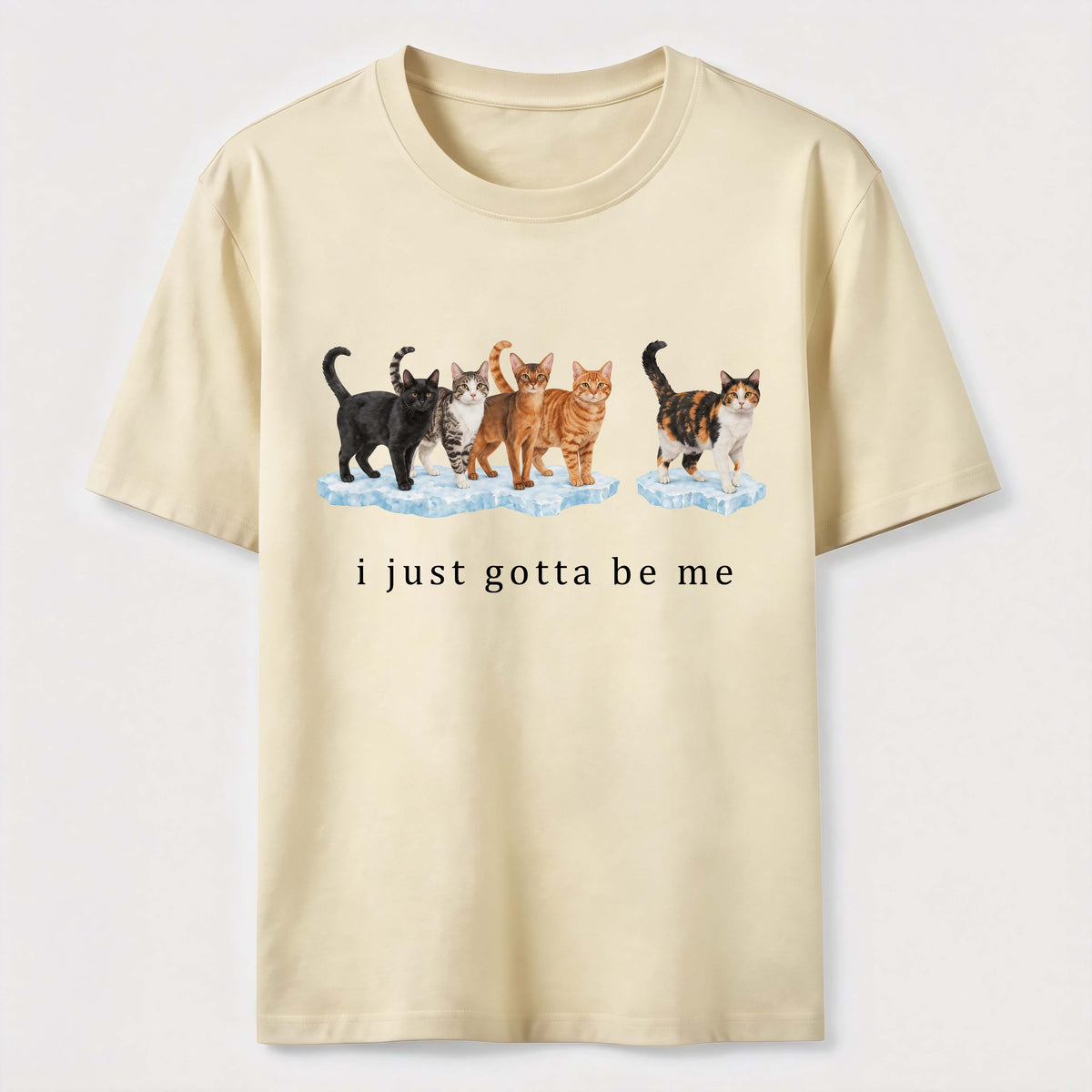 I Just Gotta Be Me Cats Classic T-Shirt